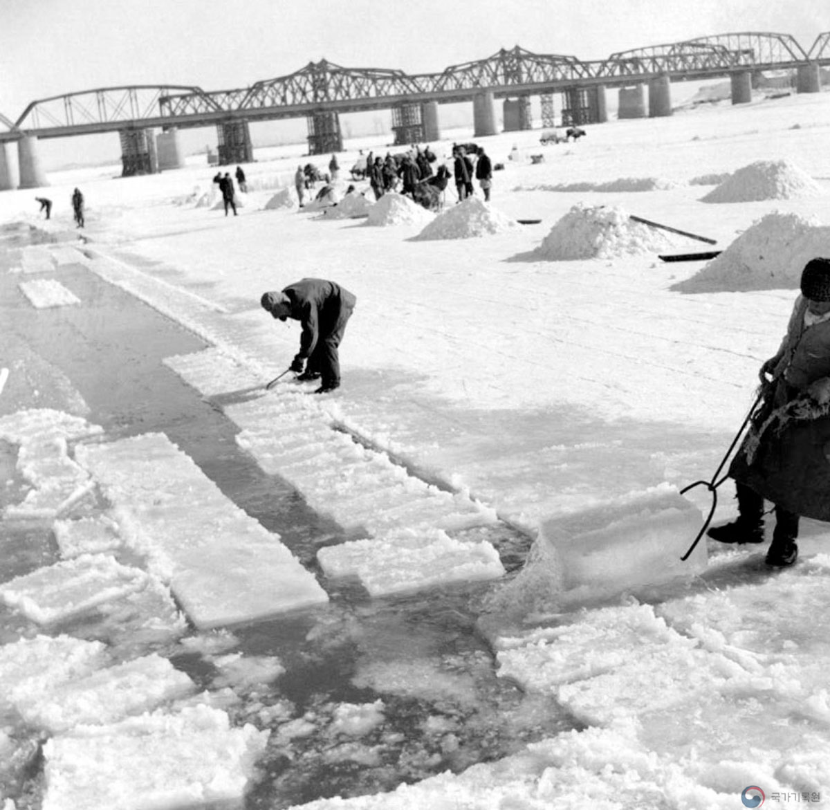 3. 한강에서의 채빙 - 한강채빙광경 1957년 